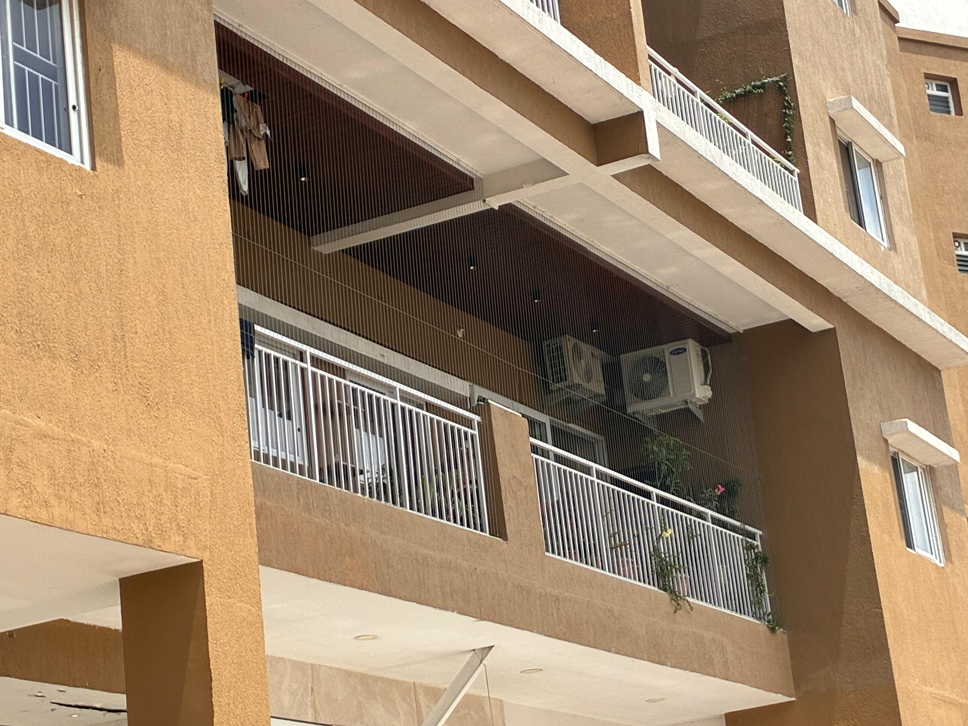 How to Cat-Proof Your Balcony Without Losing the View