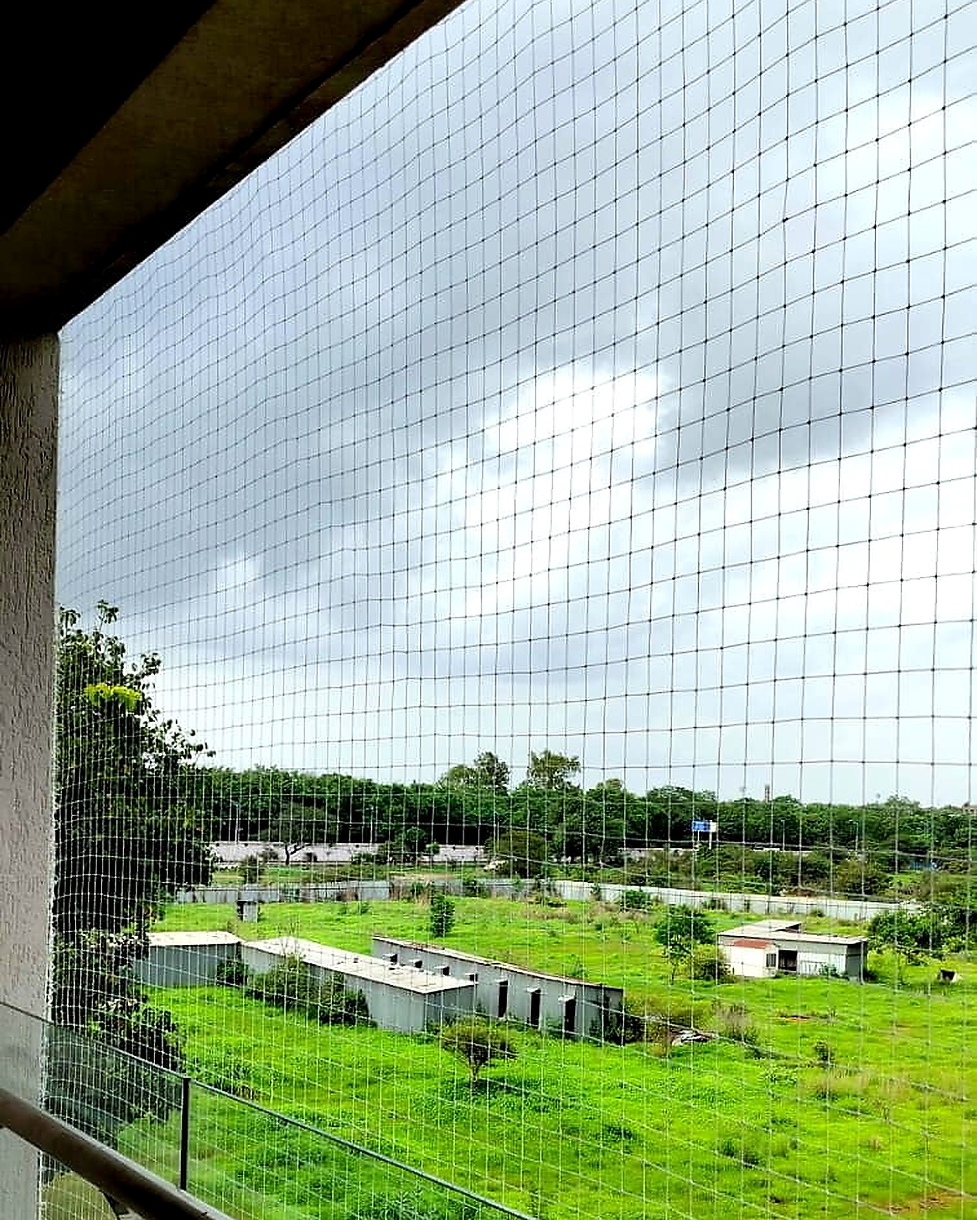 Pigeon Safety Nets installation